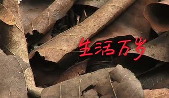 生活万岁