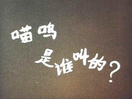 喵呜是谁叫的？