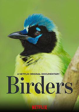 Birders