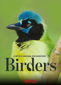 Birders