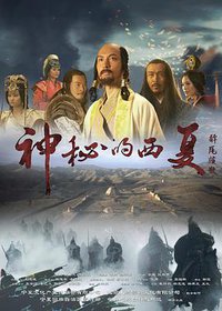 神秘的西夏