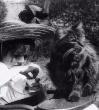 少女和猫