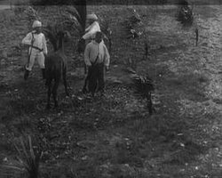 Lion Hunt