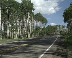 small roads