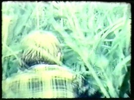 你明知逃不了为毛还要逃，逃避你眼前发生的这一切？那是因为你他妈就是个懦夫！