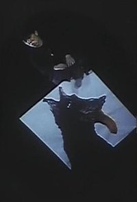 对一寸法师进行记录的尝试