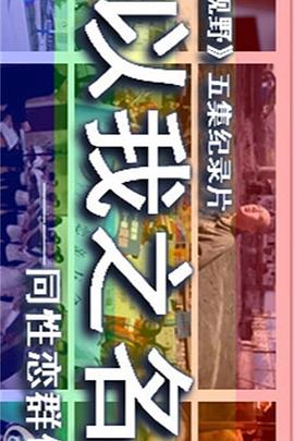 以我之名:中国同性恋群体实录