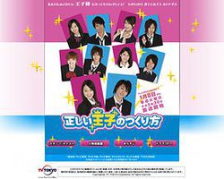 成为王子的正确方法