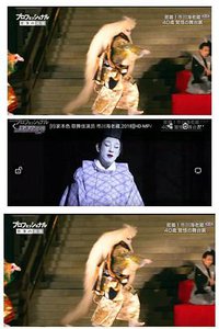 行家本色：歌舞伎演员 市川海老藏