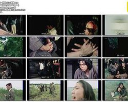 金田一耕助：三首塔