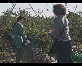 新·调停交涉人 秘密档案