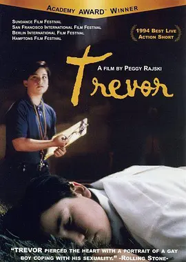 男孩日记