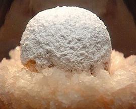 厨艺大师澳洲版 (美厨竞赛 澳大利亚版 第二季)