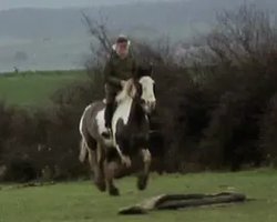 威廉·戈尔丁之梦