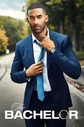 The Bachelor (美国白马王子 第二十五季)