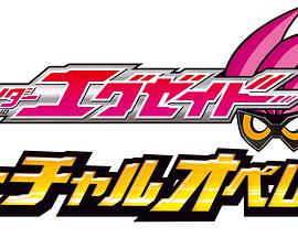 假面骑士Ex-Aid 秘技 虚拟运行