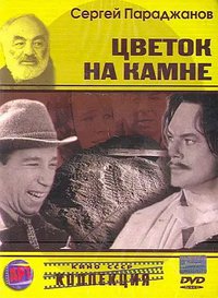 Flower On The Stone