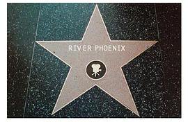 巨星骤逝之谜：瑞凡·费尼克斯