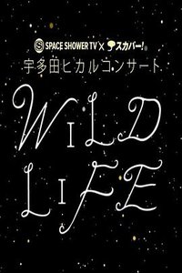 宇多田光 2010暂别歌坛演唱会