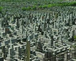 毛骨悚然撞鬼经 2011夏季特别篇