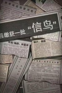 信鸟