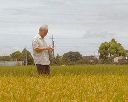 他们在岛屿写作：甜蜜的负荷