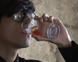 我作为鱼的情形