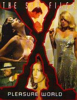 性爱史记：游乐世界