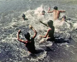 夏日河畔