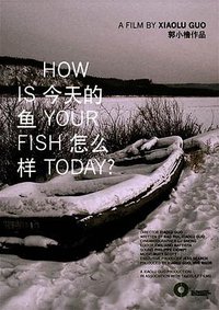 今天的鱼怎么样？