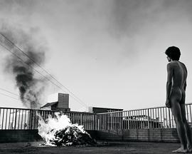 动物感伤的清晨