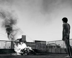 动物感伤的清晨