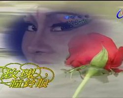 玫瑰瞳铃眼