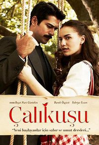 Çalıkuşu (真爱无敌 第一季)