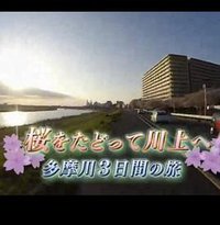 纪实72小时 多摩川的三日之旅