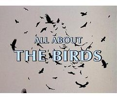 关于《群鸟》的一切