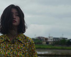 夏日天空的那匹红马