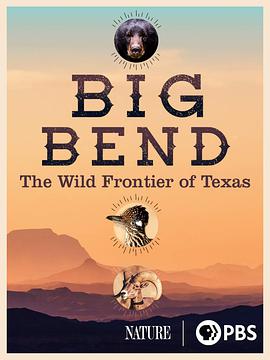 自然 (Big Bend: The Wild Frontier of Texas)