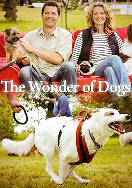 The Wonder of Dogs (狗狗的奇妙世界 第一季)