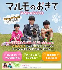 高护木的规矩 SP2014