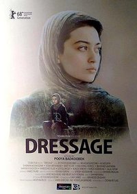 Dressage