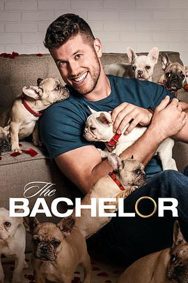 The Bachelor (美国白马王子 第二十六季)