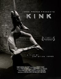 性癖 Kink (2013)