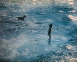 海滩