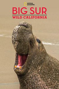 National Geographic Explorer: Big Sur Wild California