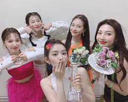 音乐银行 2019 上半年结算特辑