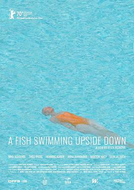 A Fish Swimming Upside Down