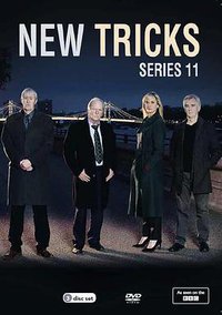 探案新窍门 第十一季