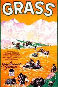 青草：一个民族的生活之战