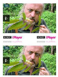 比尔·贝利的丛林英雄